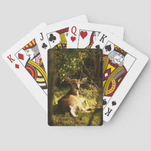 Jeu De Cartes Jeune Vélo Buck Jouer Cartes