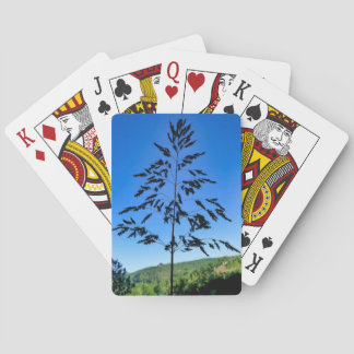 Jeu De Cartes Johnson Grass