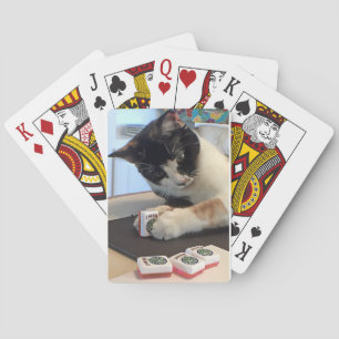 Jeu De Cartes Joker cat