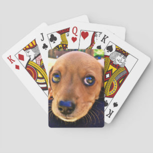 Jeu De Cartes Joli chien chiot Brown Dachshund