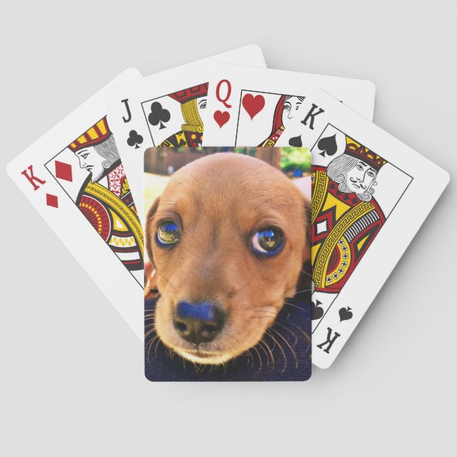 Jeu De Cartes Joli chien chiot Brown Dachshund (dos)