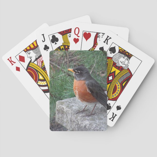 Jeu De Cartes Joli Robin Dans Le Jardin (dos)