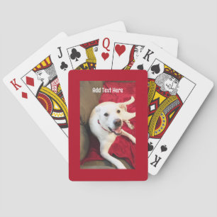 Jeu De Cartes Joli sourire Chien Chien Chien Chien Rouge Noël