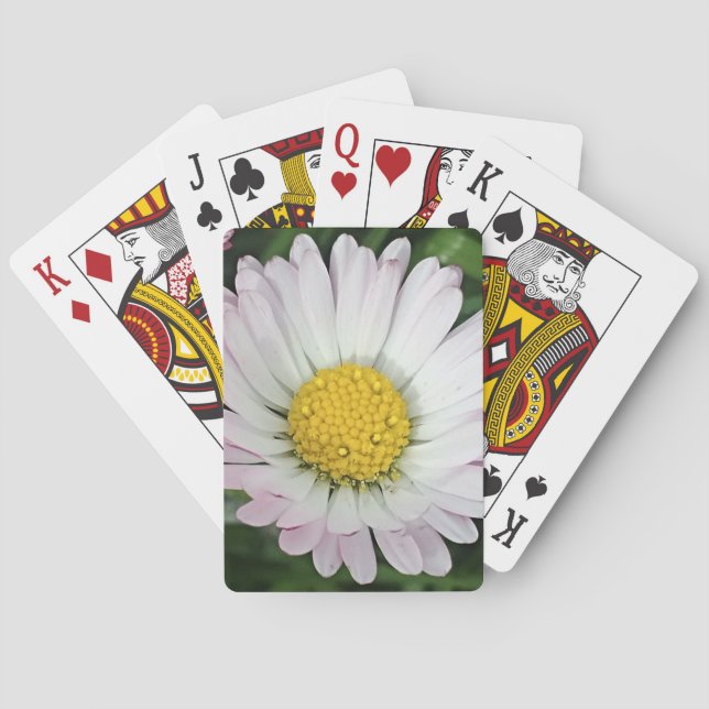 Jeu De Cartes Jolie marguerite (dos)