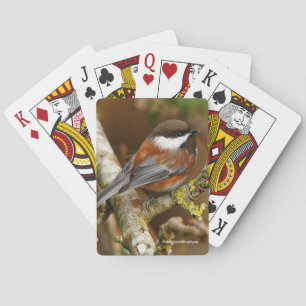 Jeu De Cartes Jolie mésange à dos marron dans le poirier