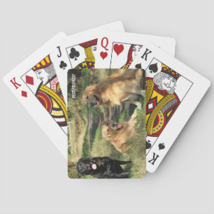Jeu De Cartes Jolis chiens meilleurs amis