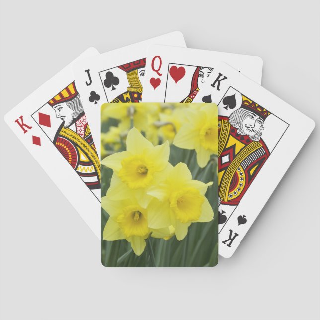 Jeu De Cartes Jonquilles RF) (dos)