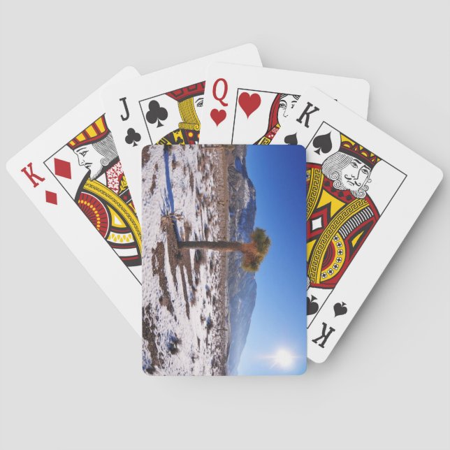 Jeu De Cartes Joshua Tree, Californie (dos)