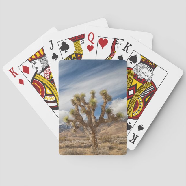 Jeu De Cartes Joshua Trees dans le désert (dos)