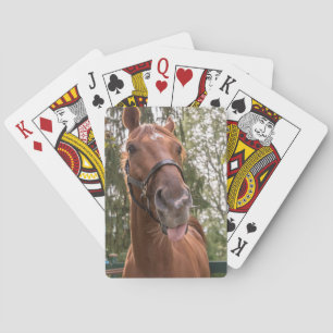 Jeu De Cartes Jote Funny Horse Photo