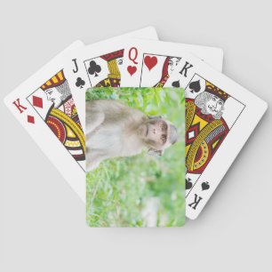 Jeu De Cartes Jote jeune Brown singe araignée
