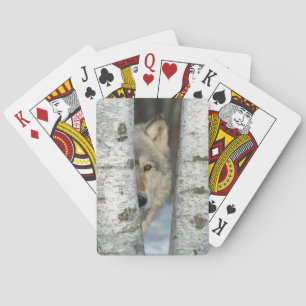 Jeu De Cartes jouer aux cartes avec photo de loup gris dans les 
