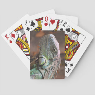 Jeu De Cartes Jouer aux cartes Deck avec le lézard Iguana coloré