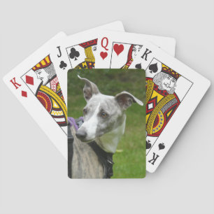 Jeu De Cartes Jouer aux cartes Whippet