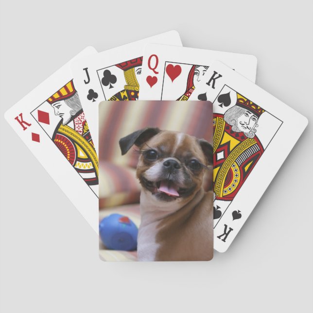 Jeu De Cartes Joyeux chien avec jouet (dos)