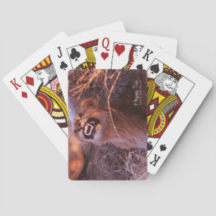 Jeu De Cartes Joyeux Tau