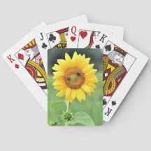 Joyeux Tournesol Jouer Cartes