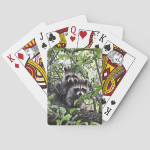 Jeu De Cartes Jumeaux
