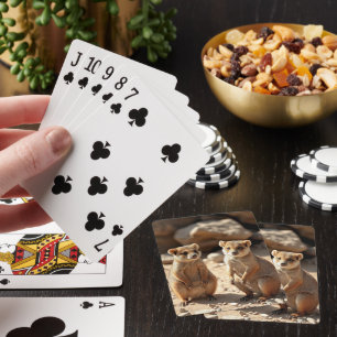 Jeu De Cartes Jumeaux Quokka australiens