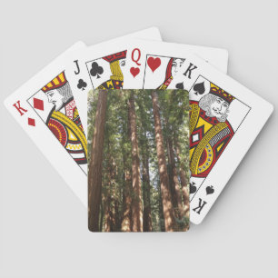 Jeu De Cartes Jusqu'aux Séquoias II au monument national Muir Wo