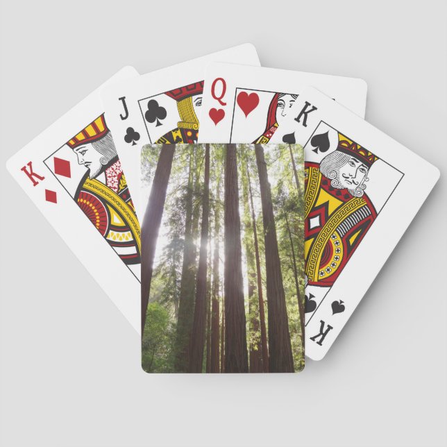 Jeu De Cartes Jusqu'aux séquoias le matin (dos)