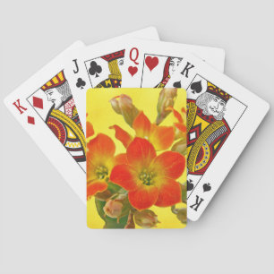Jeu De Cartes Kalanchoe rouge - Soleil Succulent