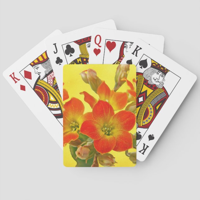 Jeu De Cartes Kalanchoe rouge - Soleil Succulent (dos)