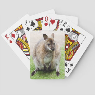 Jeu De Cartes Kangaroo