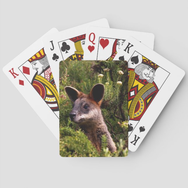 Jeu De Cartes Kangaroo (dos)