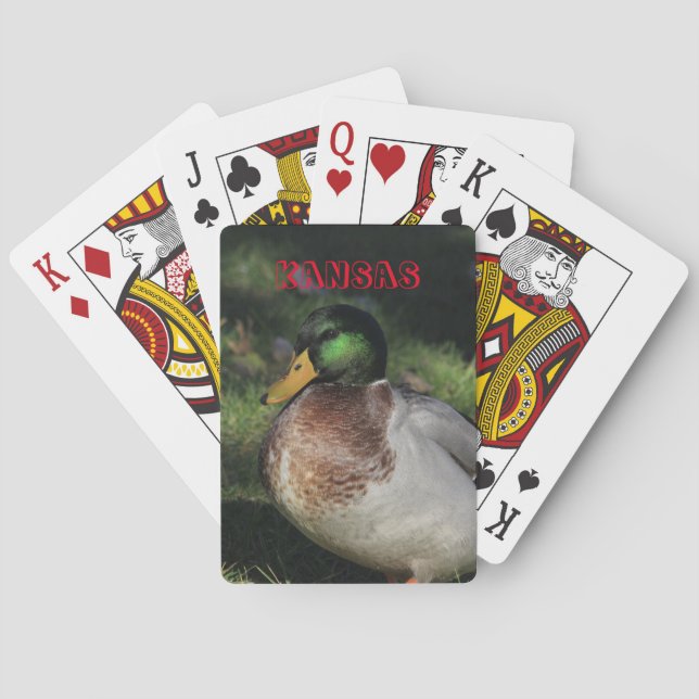 Jeu De Cartes Kansas Drake Mallard Jouer aux cartes (dos)