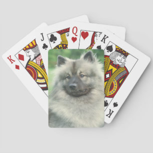 Jeu De Cartes Keeshond Chien Jouer des cartes