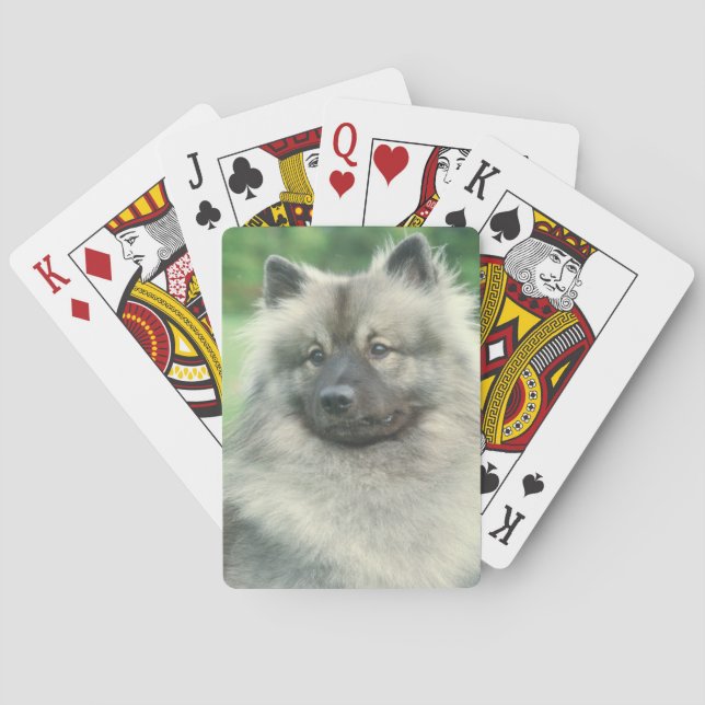 Jeu De Cartes Keeshond Chien Jouer des cartes (dos)