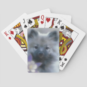 Jeu De Cartes Keeshond et Columbine - Photo de chien