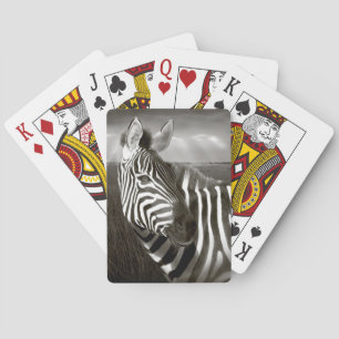 Jeu De Cartes Kenya. Noir et blanc de zèbre et plaine.