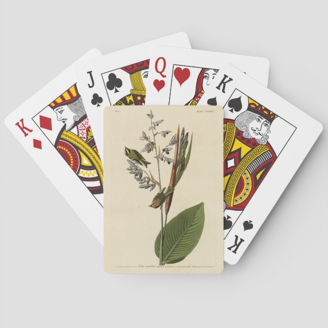 Jeu De Cartes Kinglet couronné d'or, les oiseaux d'Amérique d'Au (dos)