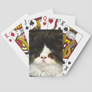 Jeu De Cartes Kitten noir et blanc
