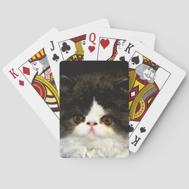 Jeu De Cartes Kitten noir et blanc (dos)