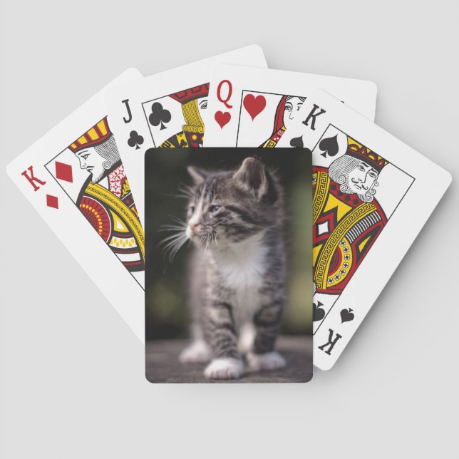 Jeu De Cartes Kitten Standing Haut (dos)