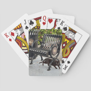 Jeu De Cartes Kitty dans le parc
