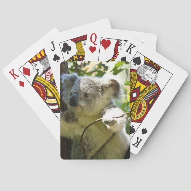 Jeu De Cartes koala (dos)