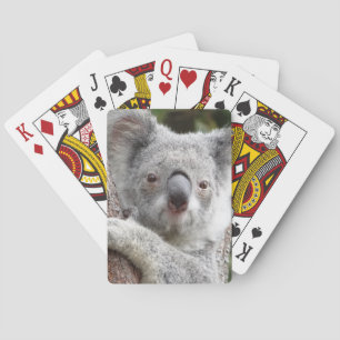 Jeu De Cartes Koala australien