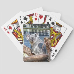 Jeu De Cartes Koala Jouer aux cartes