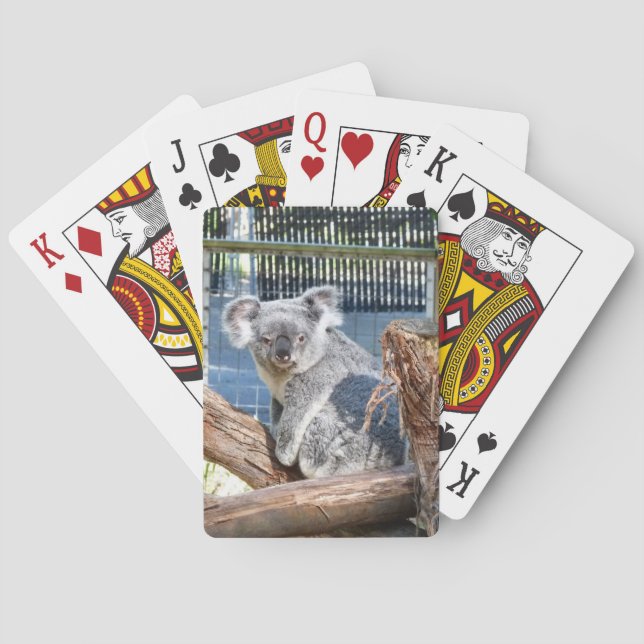 Jeu De Cartes Koala Jouer aux cartes (dos)