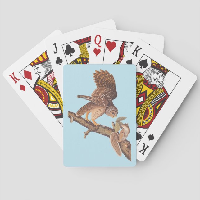 Jeu De Cartes La Chouette barrée d'Audubon et les amis de l'écur (dos)