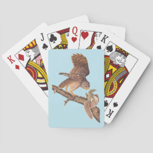 Jeu De Cartes La Chouette barrée d'Audubon et les amis de l'écur