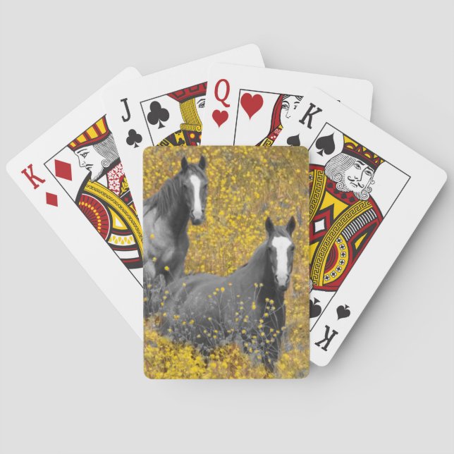 Jeu De Cartes La moutarde et les chevaux (dos)