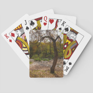 Jeu De Cartes La Nature