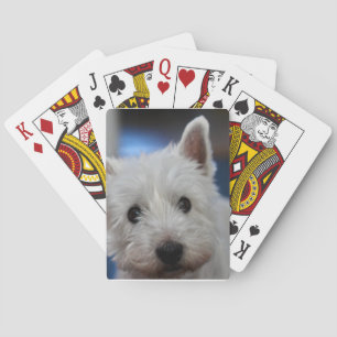 Jeu De Cartes La Pestie blanche de Westie