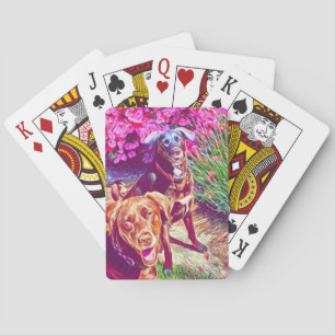 Jeu De Cartes laboratoire de chocolat