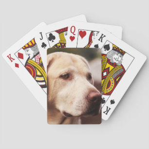Jeu De Cartes Labrador Retriever